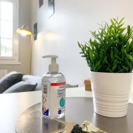 Apartment Cosy Climatise Et Parking Securise A Proximite Du Centre De Lyon